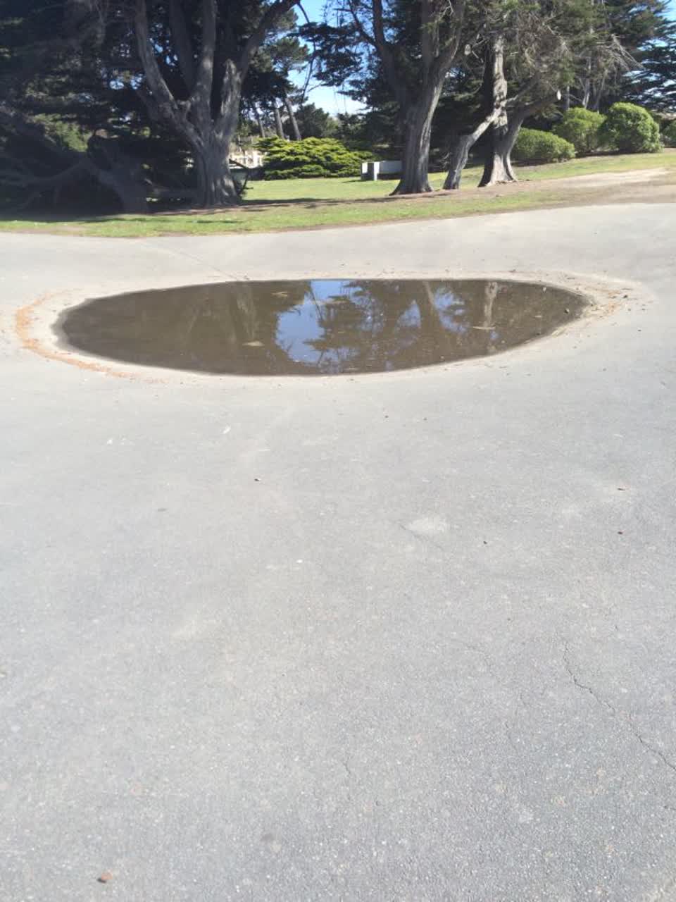 The photograph attached to this parks report