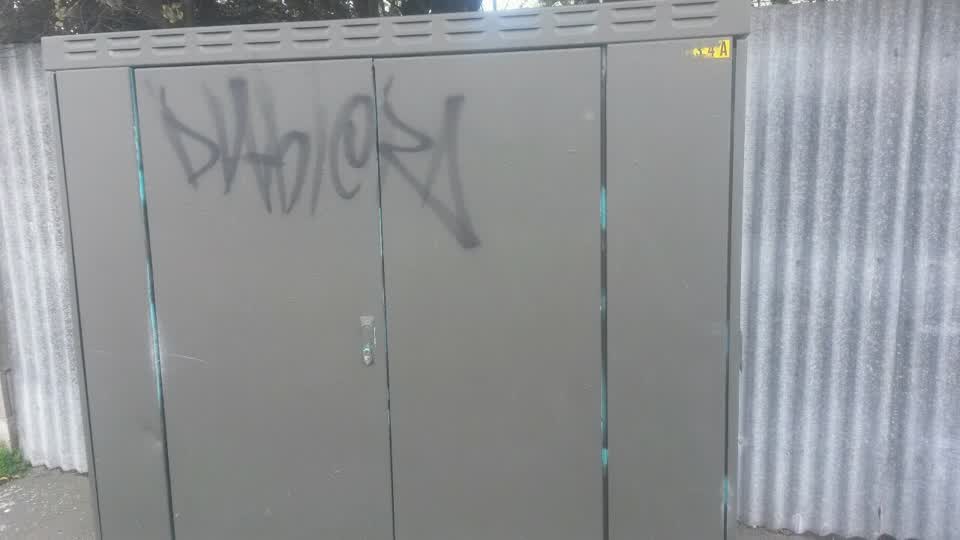 The photograph attached to this graffiti report