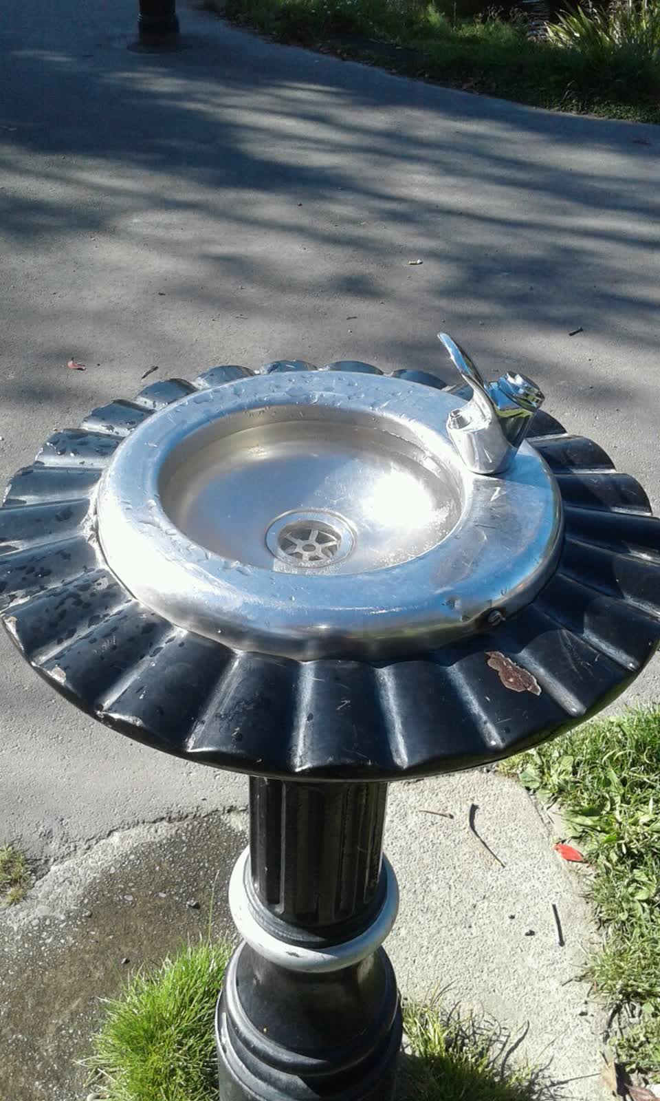 The photograph attached to this water supply report