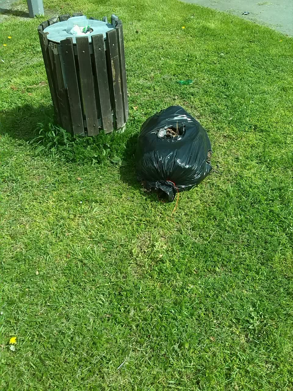The photograph attached to this rubbish/recycling report