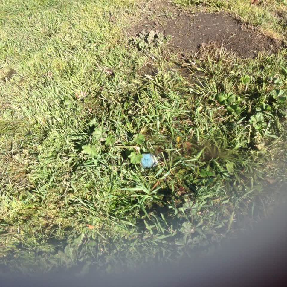The photograph attached to this water supply report