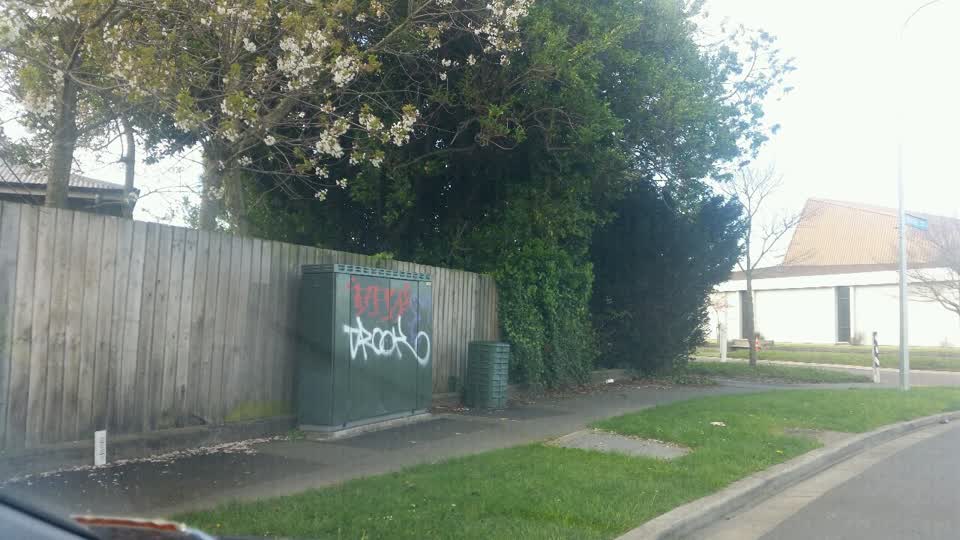 The photograph attached to this graffiti report
