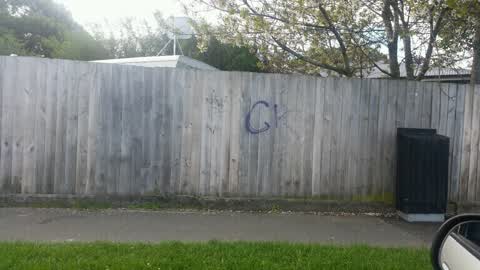 Graffiti, a report photo