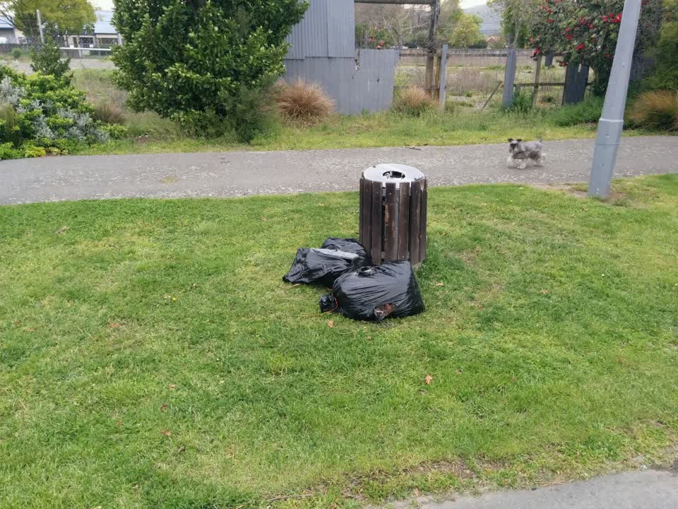 The photograph attached to this parks report