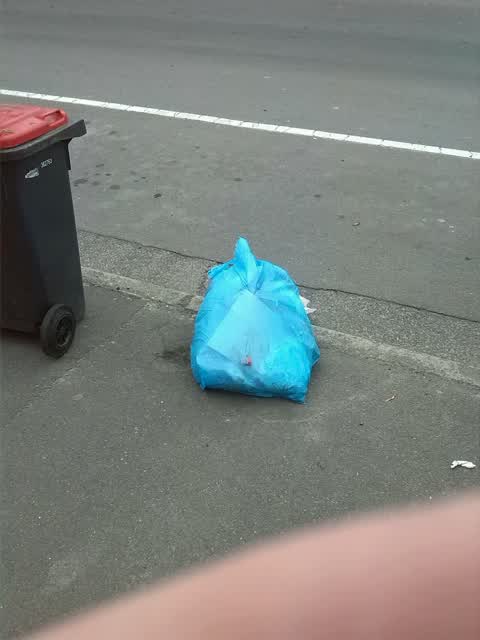 Rubbish/Recycling, a report photo