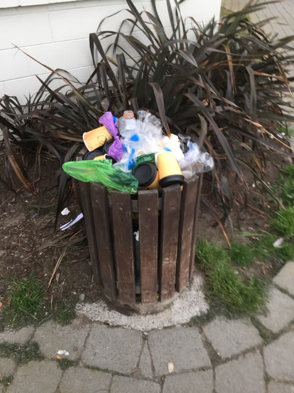 The photograph attached to this rubbish/recycling report