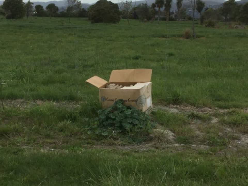 The photograph attached to this rubbish/recycling report