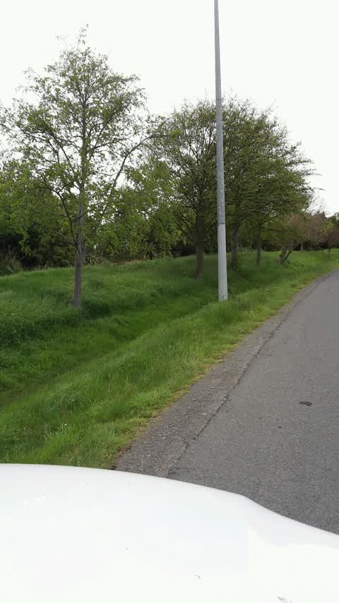 Roading/Streets, a report photo