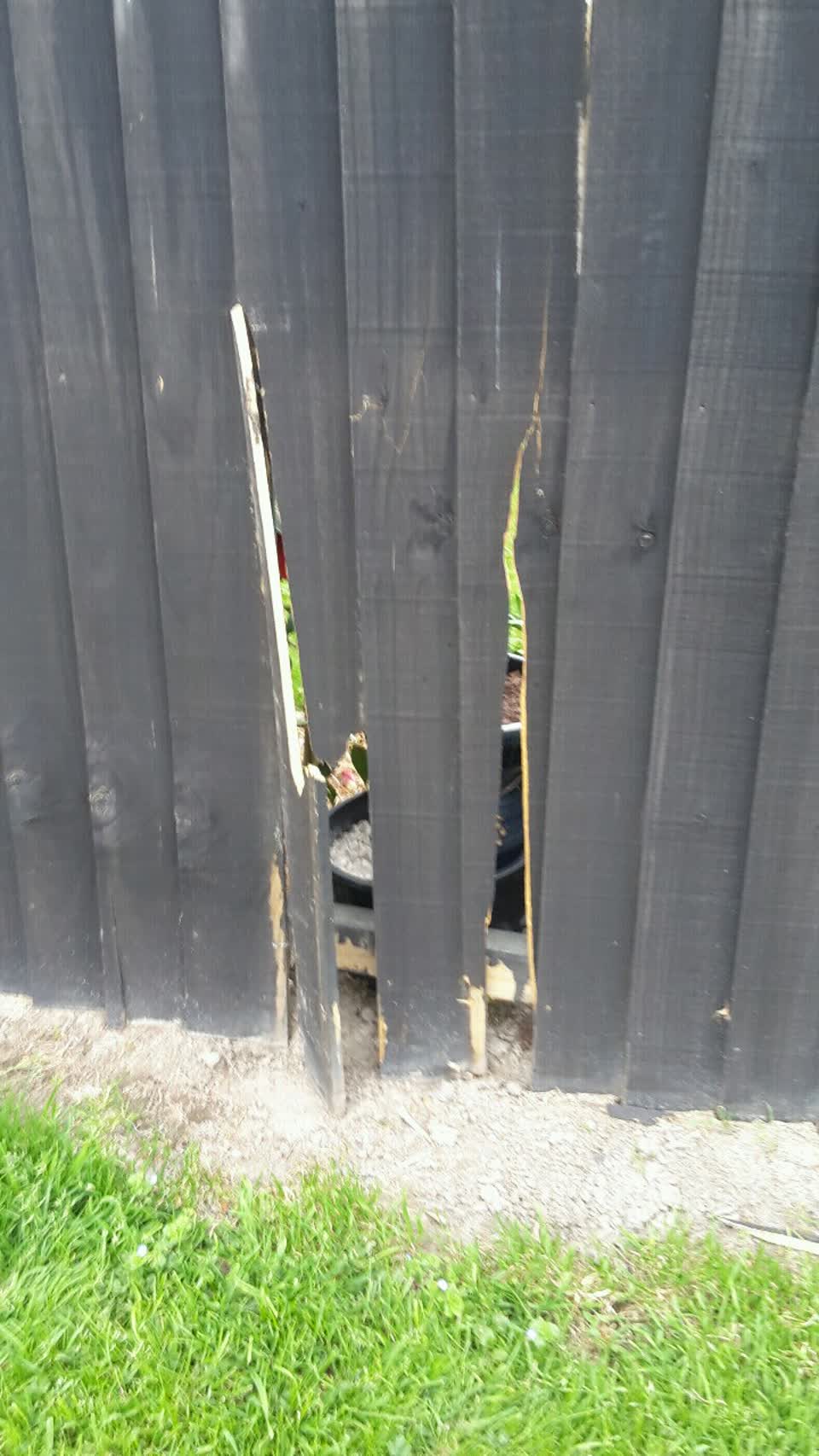 The photograph attached to this parks report