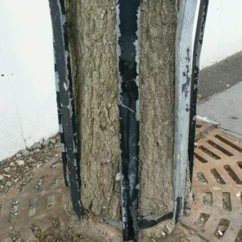 Roading/Streets, a report photo