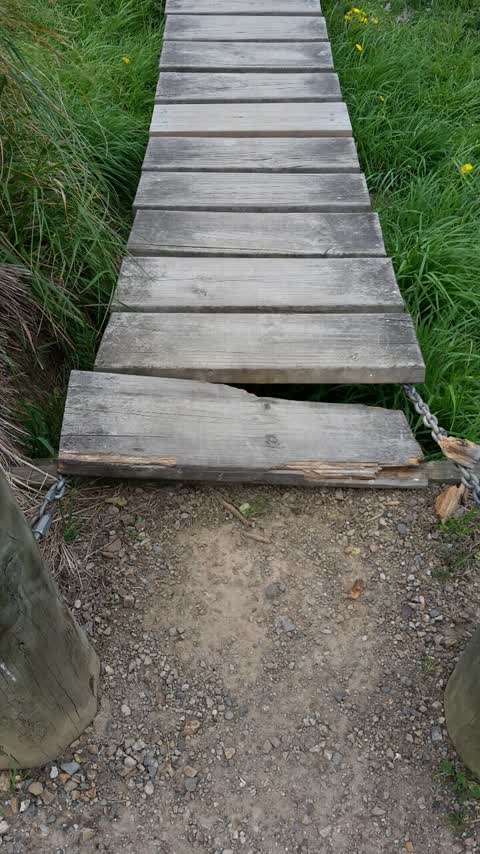 Parks, a report photo