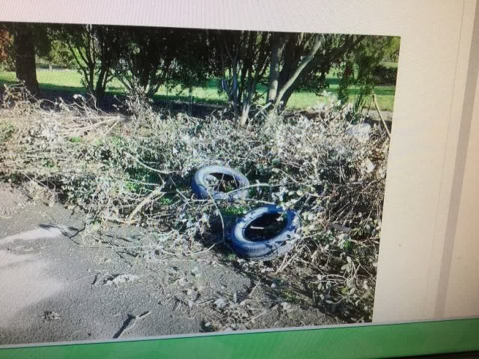 The photograph attached to this rubbish/recycling report