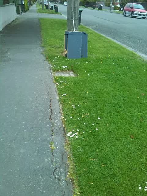 Rubbish/Recycling, a report photo