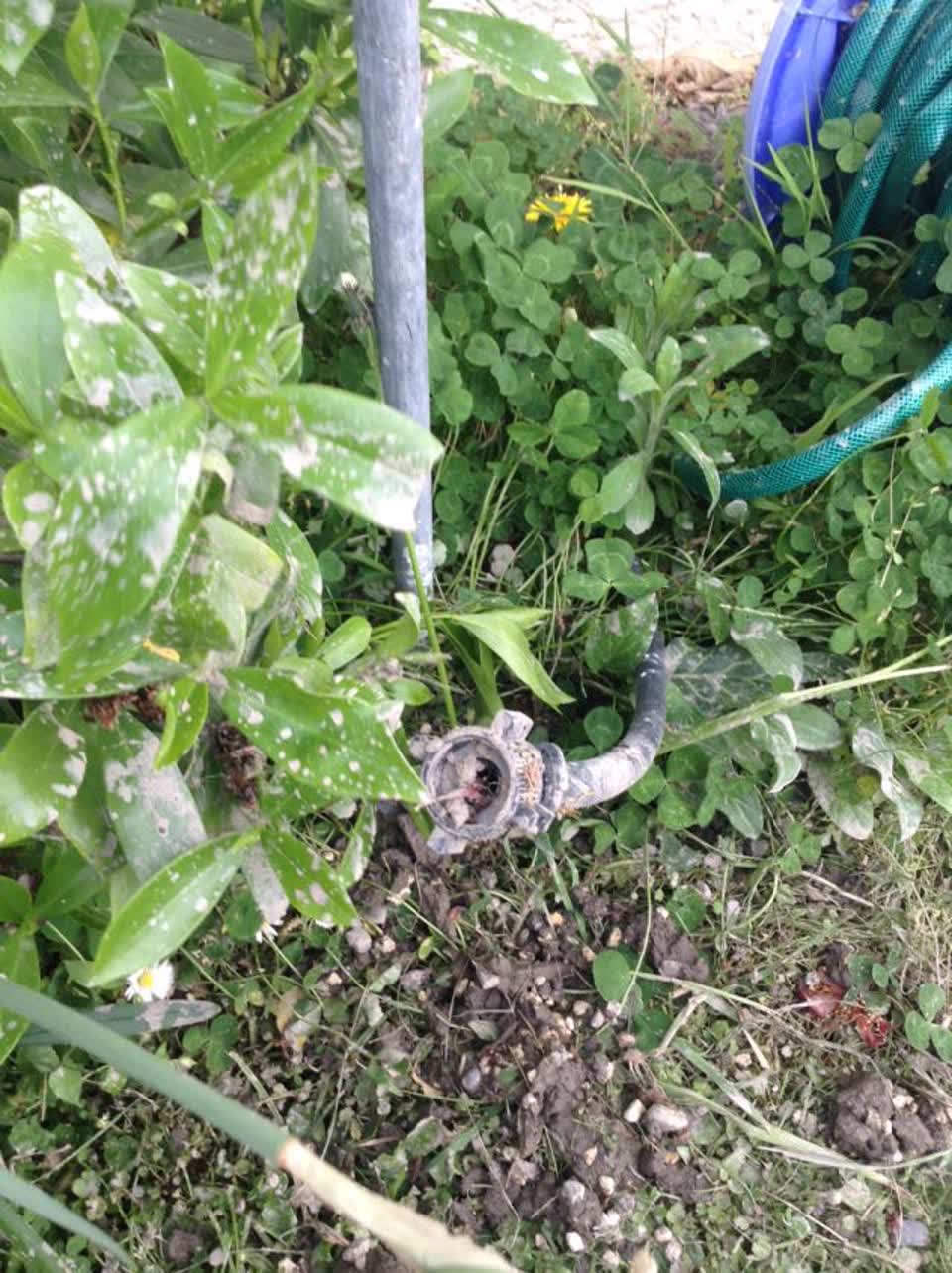 The photograph attached to this wastewater/stormwater report