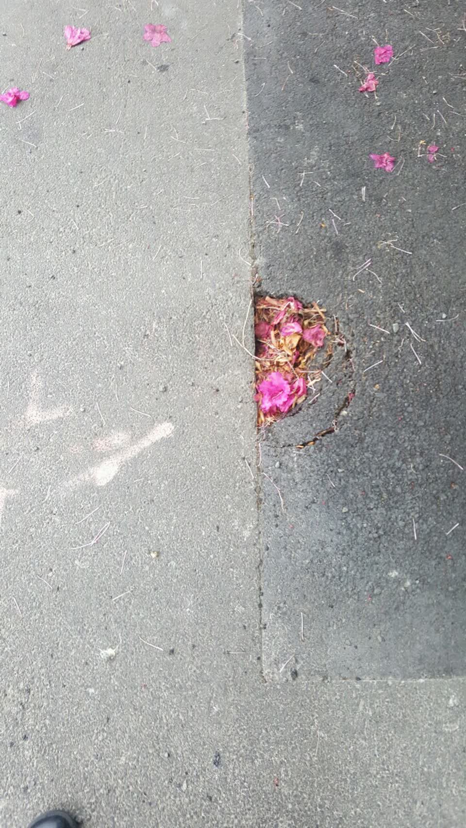 The photograph attached to this roading/streets report