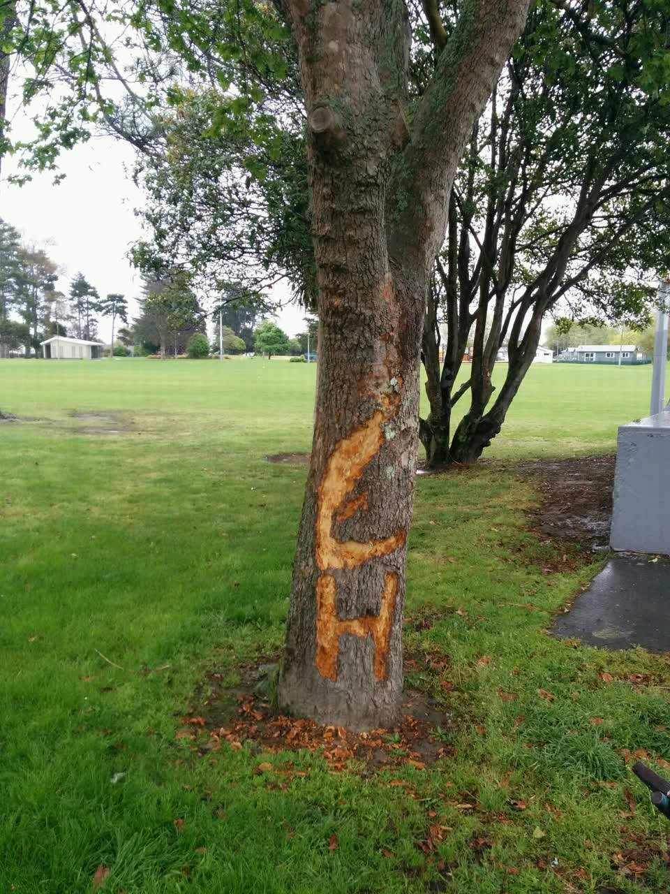 The photograph attached to this parks report