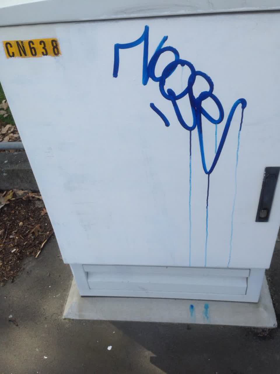 The photograph attached to this graffiti report