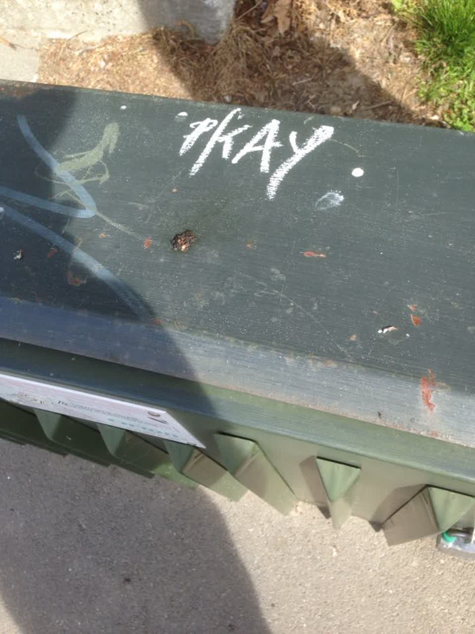 The photograph attached to this graffiti report