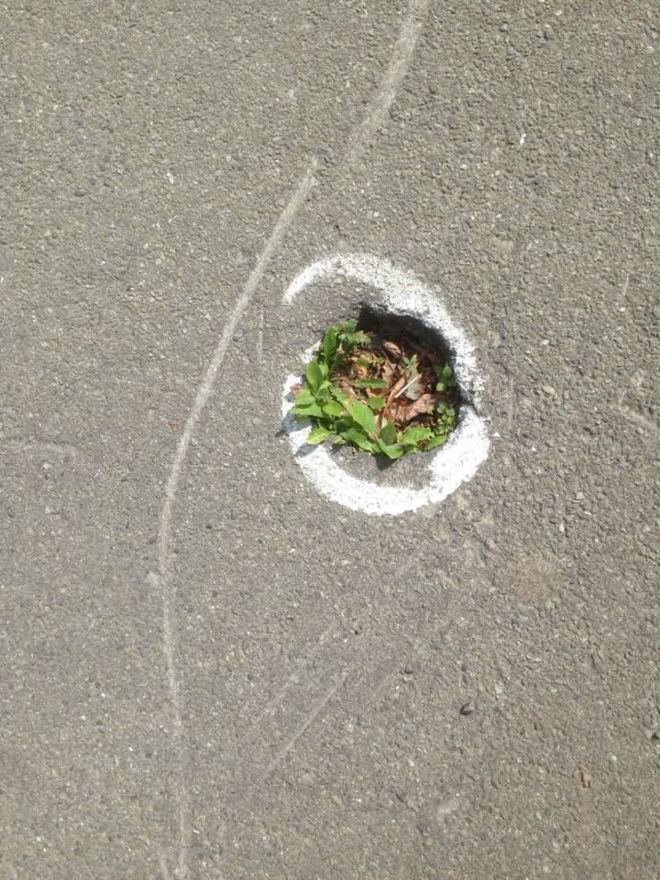 The photograph attached to this roading/streets report