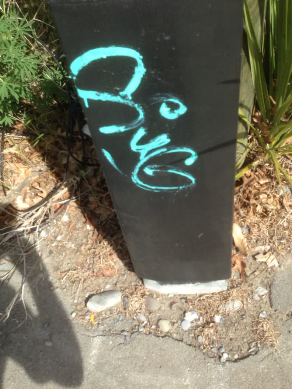 The photograph attached to this graffiti report