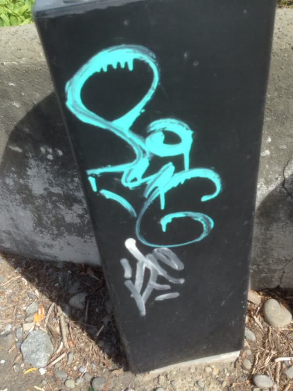 The photograph attached to this graffiti report