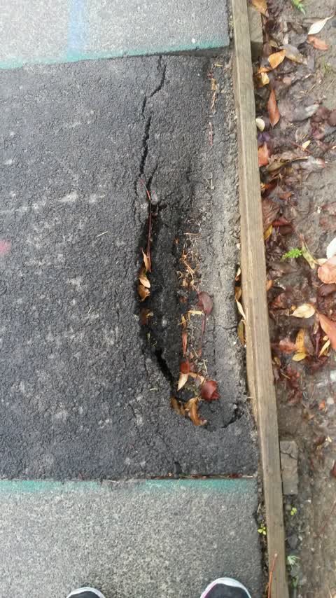 Roading/Streets, a report photo