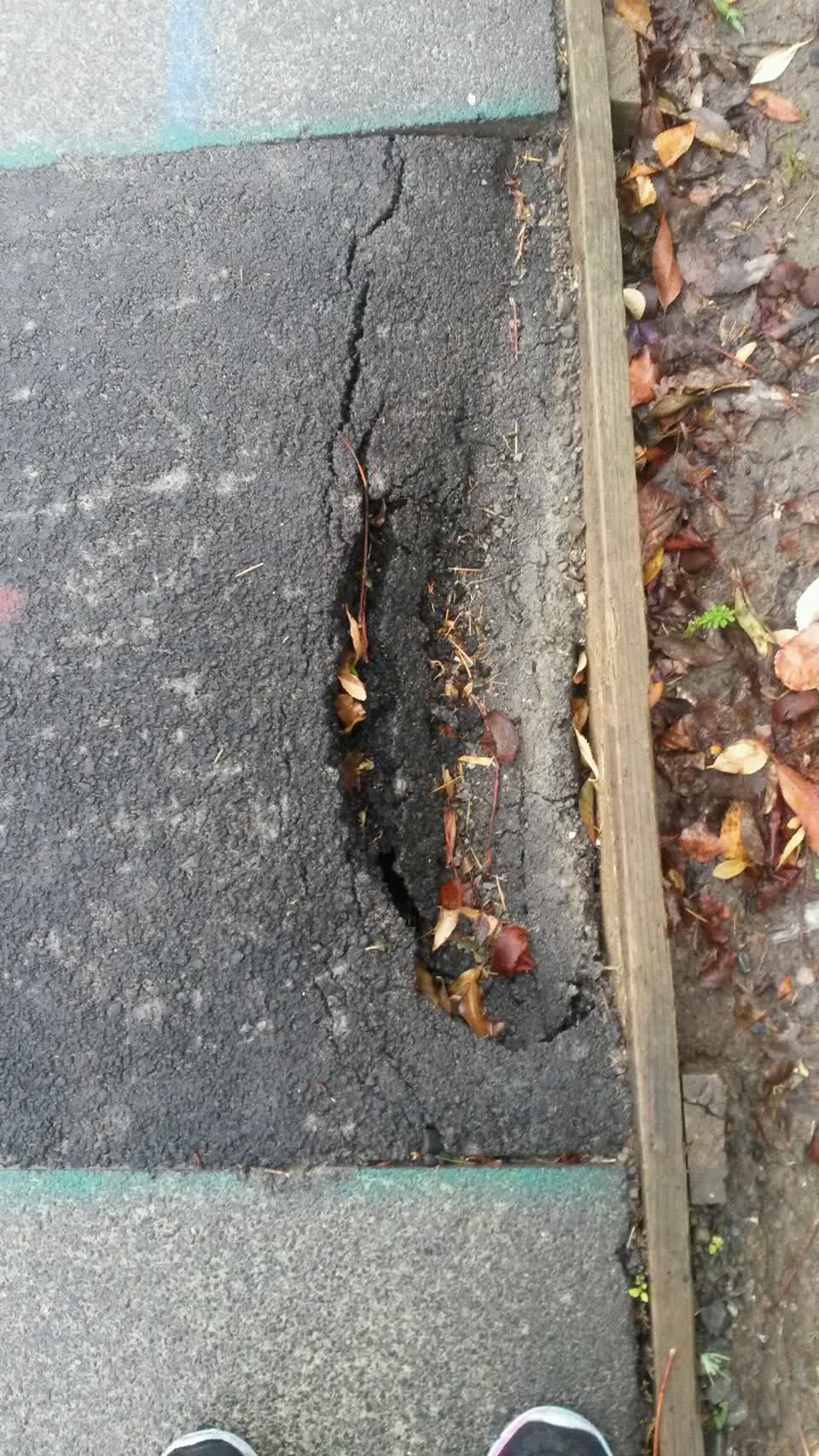 The photograph attached to this roading/streets report
