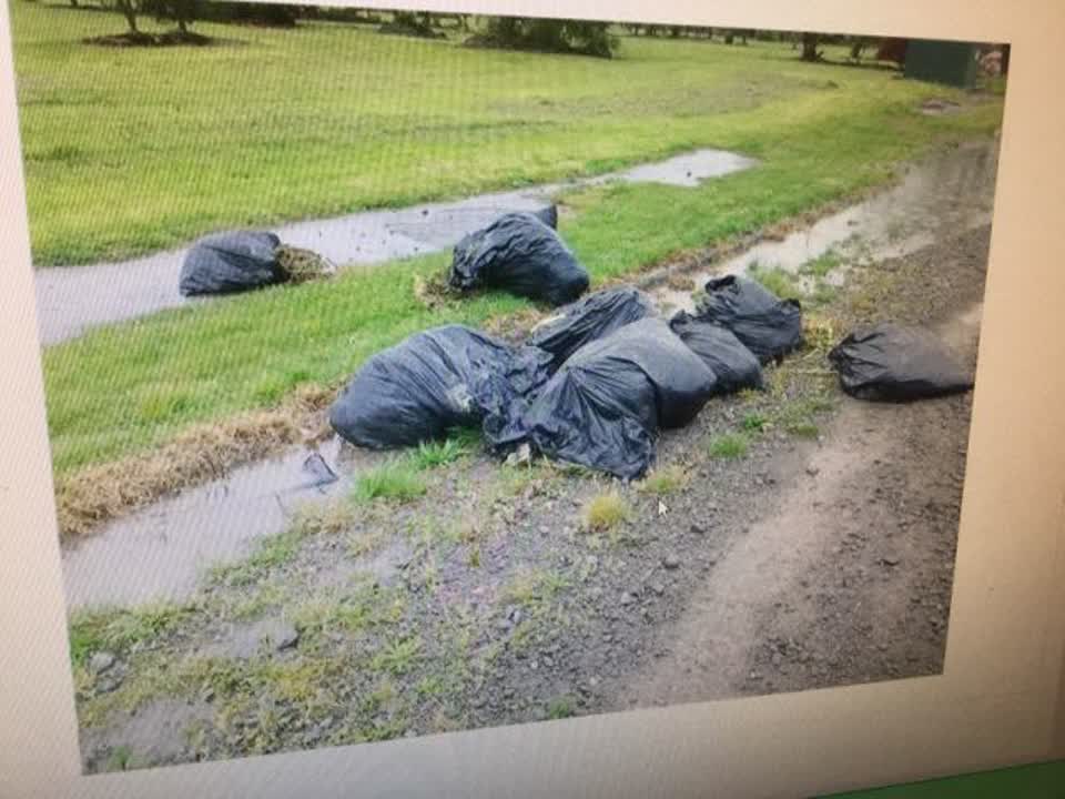 The photograph attached to this rubbish/recycling report