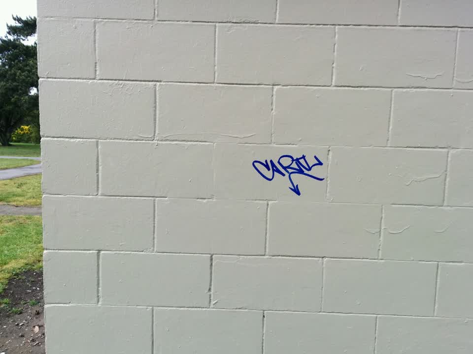 The photograph attached to this graffiti report