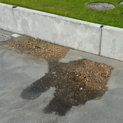 Water Supply, a report photo