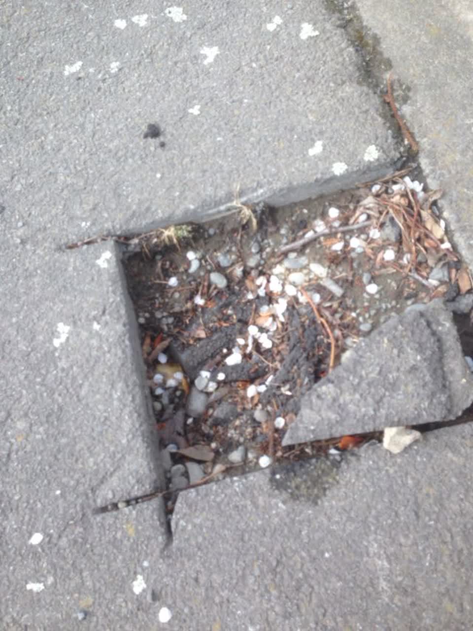 The photograph attached to this roading/streets report