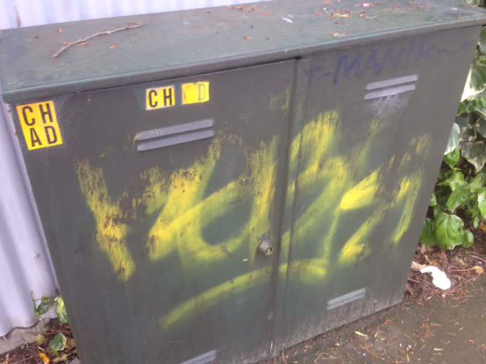 The photograph attached to this graffiti report