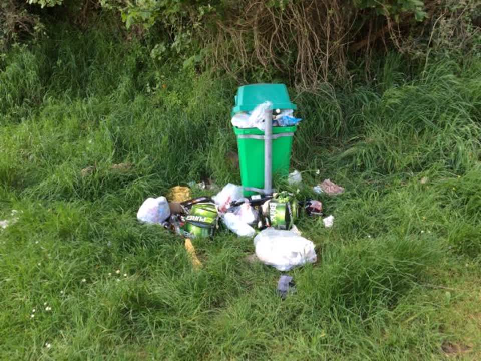 The photograph attached to this parks report