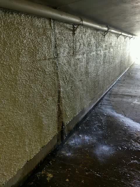 Roading/Streets, a report photo