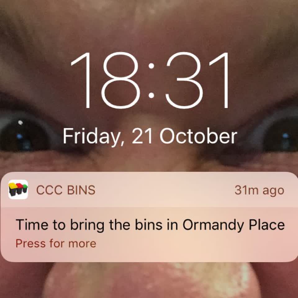 The photograph attached to this rubbish/recycling report