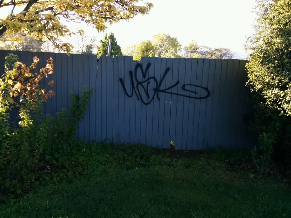 The photograph attached to this graffiti report
