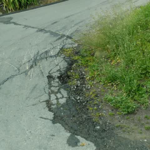 Roading/Streets, a report photo