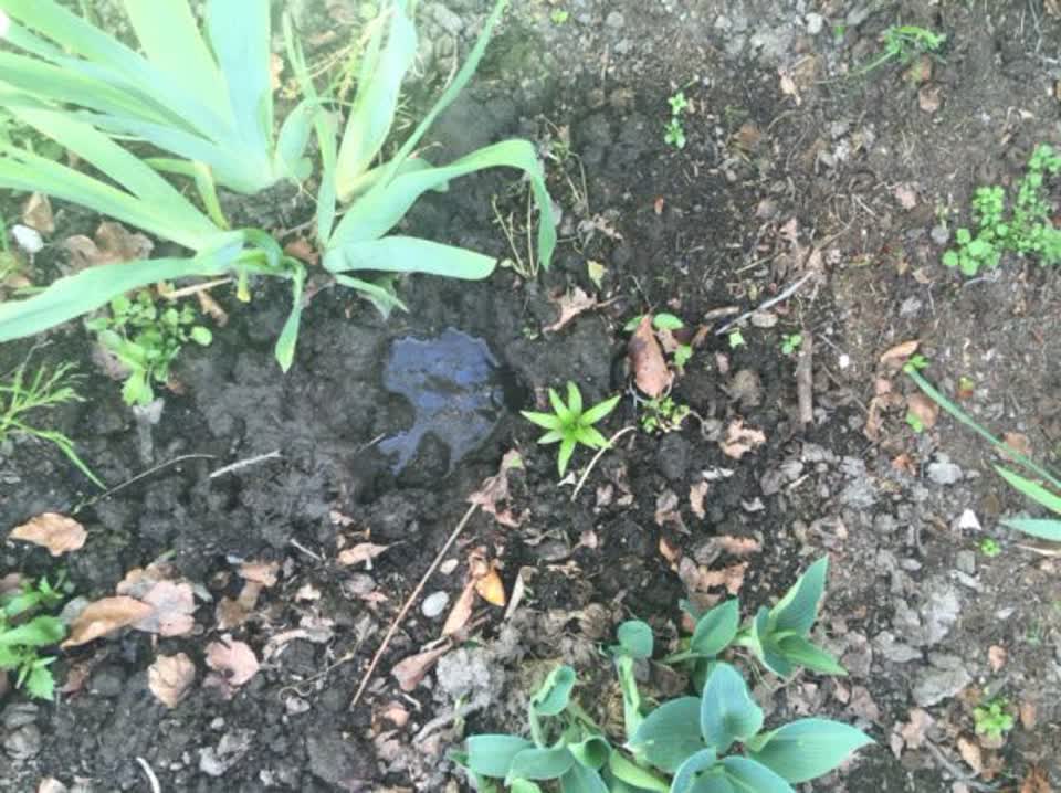 The photograph attached to this water supply report