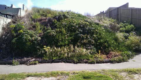 Roading/Streets, a report photo