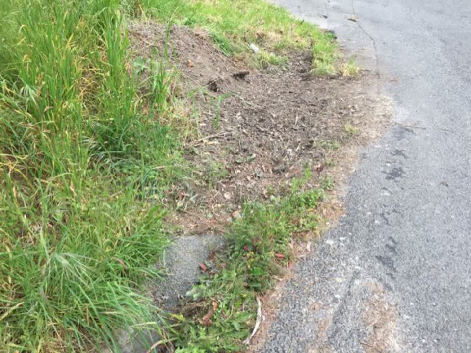The photograph attached to this wastewater/stormwater report