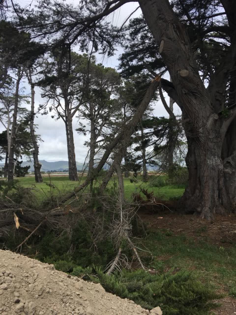 The photograph attached to this parks report