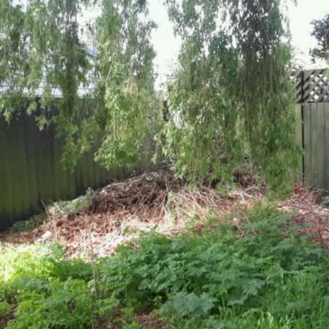 Parks, a report photo