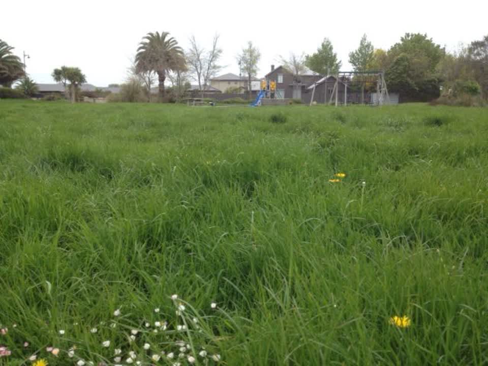 The photograph attached to this parks report