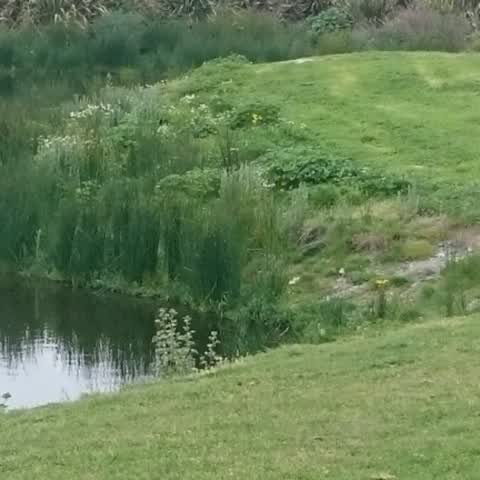 Parks, a report photo