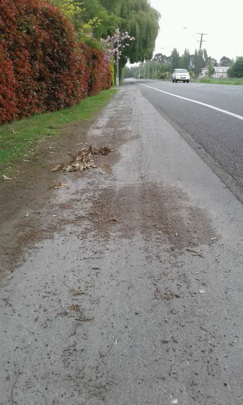 Roading/Streets, a report photo