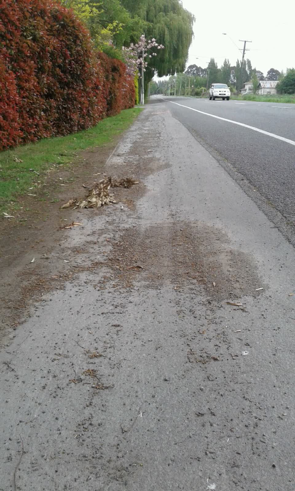 The photograph attached to this roading/streets report