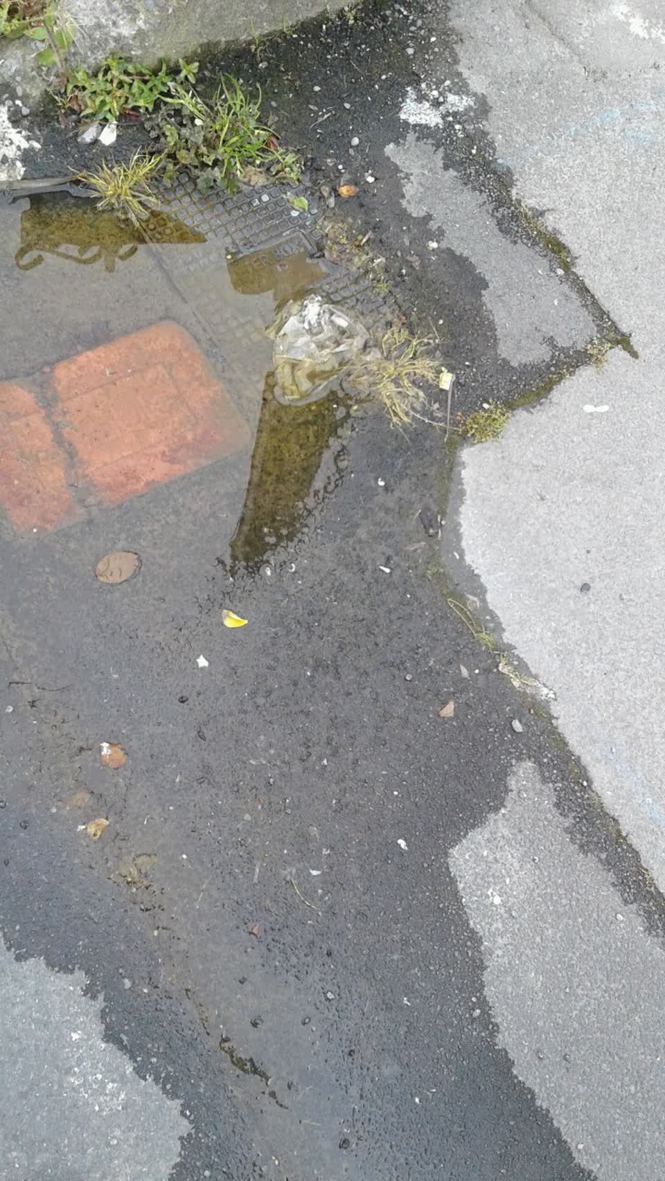 The photograph attached to this water supply report