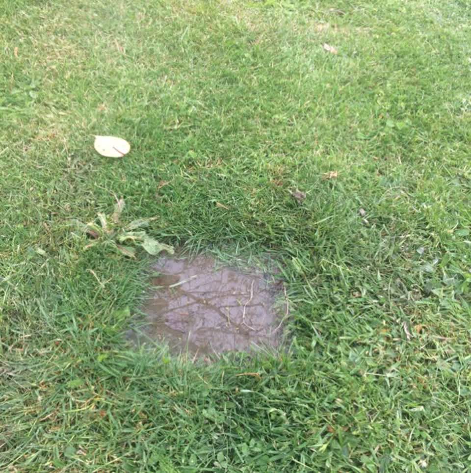 The photograph attached to this water supply report