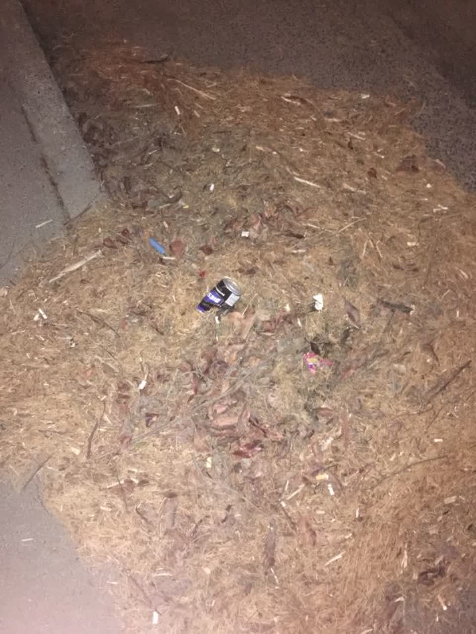 The photograph attached to this wastewater/stormwater report