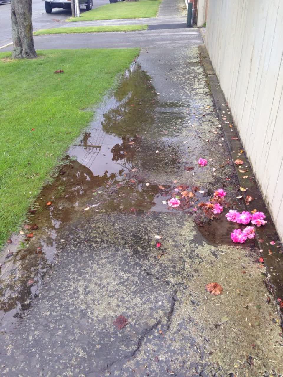 The photograph attached to this water supply report